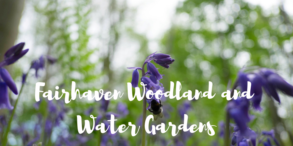 Fairhaven Garden Bluebells